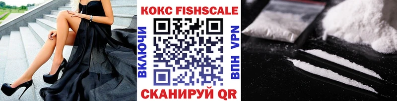 COCAIN Fish Scale  Гаврилов-Ям 
