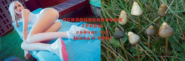 mix Верея