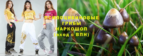 прущие крисы Верхний Тагил