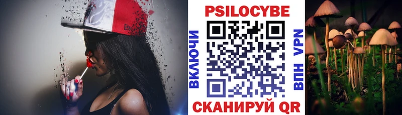Псилоцибиновые грибы мухоморы Гаврилов-Ям