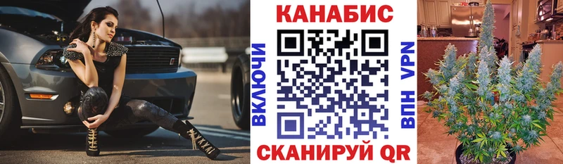 Бошки Шишки план Гаврилов-Ям